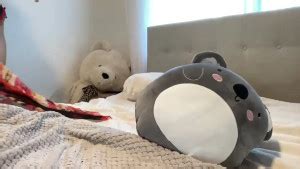 shysashy from Chaturbate .
